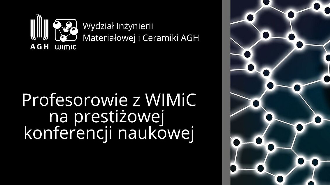 Profesorowie WIMiC na prestiżowej konferencji naukowej