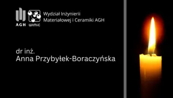 dr inż. Anna Przybyłek-Boraczyńska